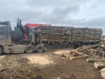 Camion de 60 stères, Hêtre Chêne Charme en grume