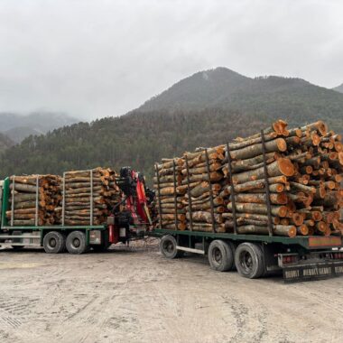 GRUME DE BOIS