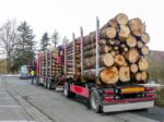 CHÂTAIGNIER EN GRUME, CAMION DE 50 STÈRES