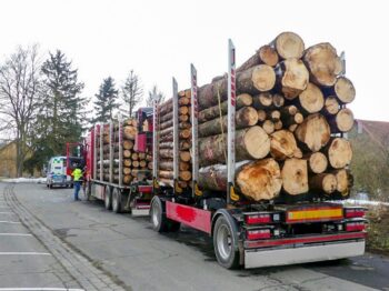 CHÂTAIGNIER EN GRUME, CAMION DE 50 STÈRES